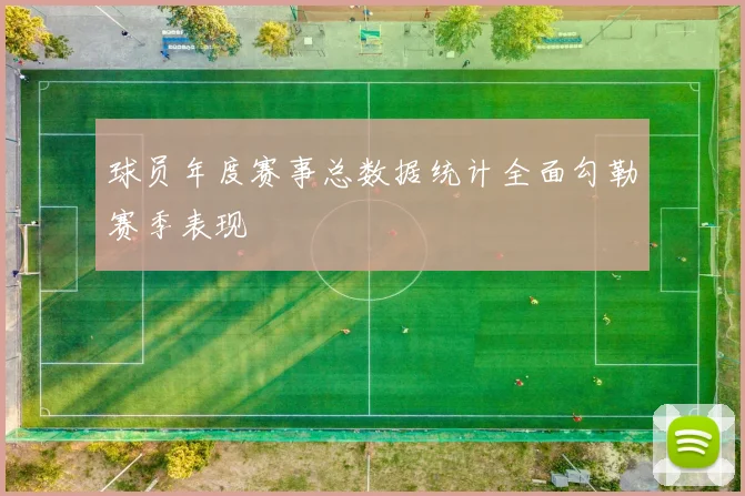 球员年度赛事总数据统计全面勾勒赛季表现