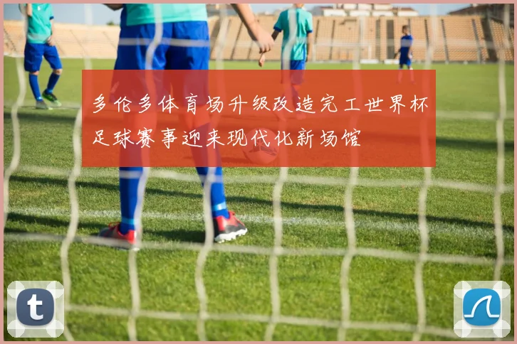多伦多体育场升级改造完工世界杯足球赛事迎来现代化新场馆